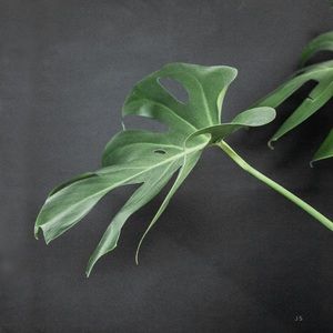 Bundle any 3 items for 15% off